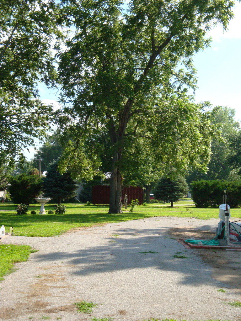 Site 2 looking South