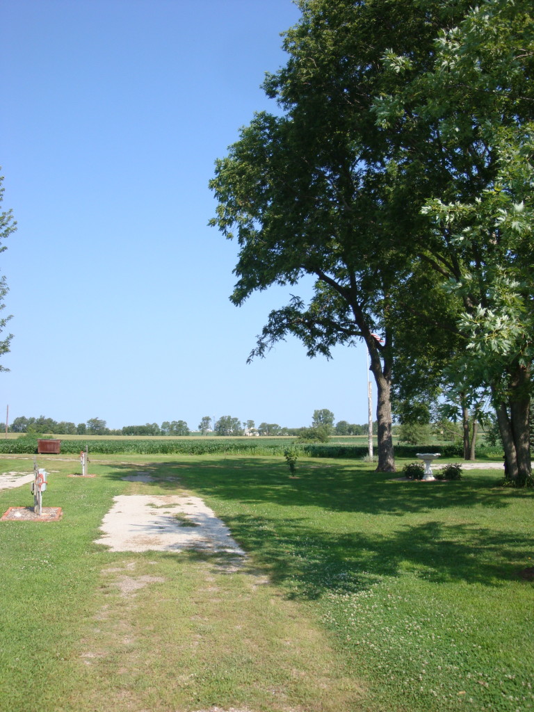 Site 6 looking West